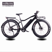 48V500W Bafang Mid Drive new design electric bike,mountain fat tire bicycle,fashion e bike